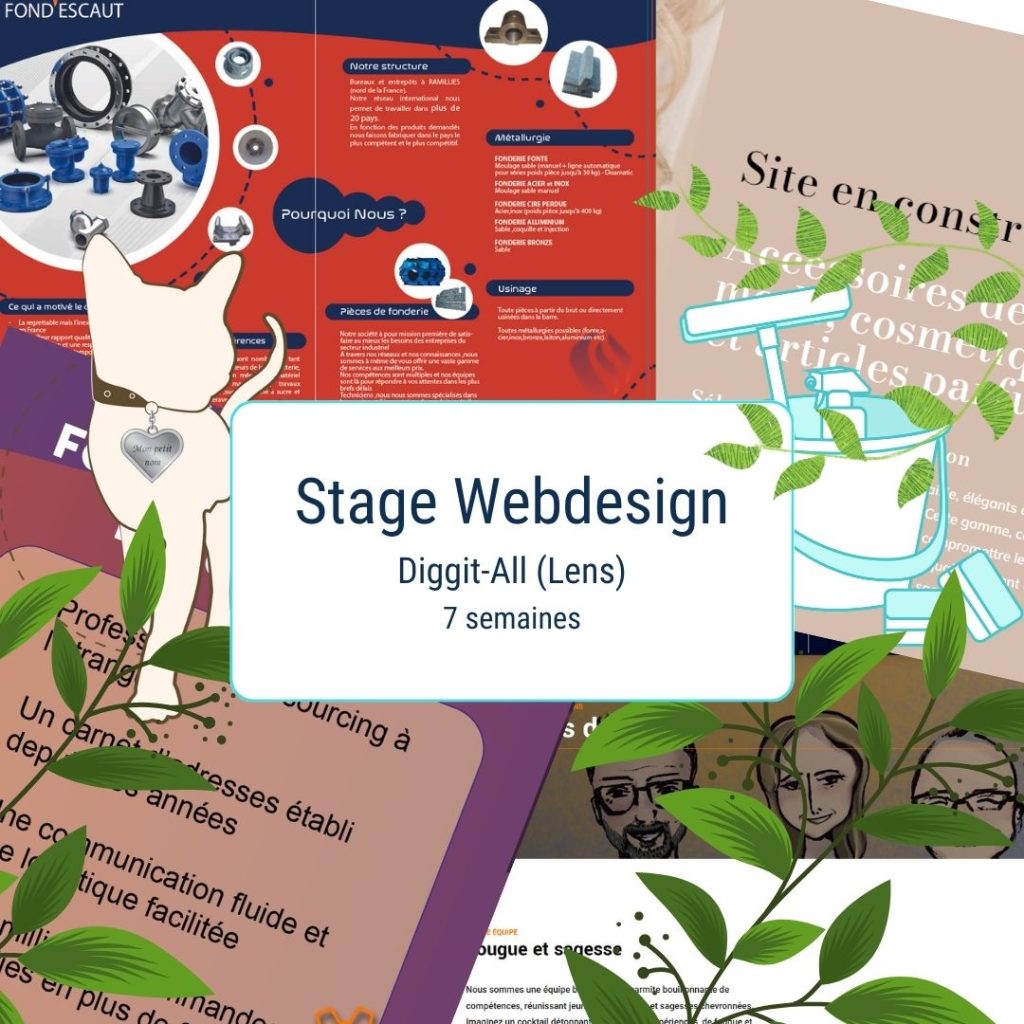 Stage Webdesign Diggit-All